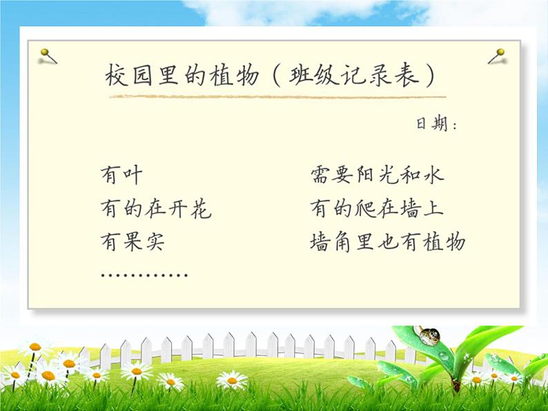 教科版科学一上：1.6《校园里的植物》课件06