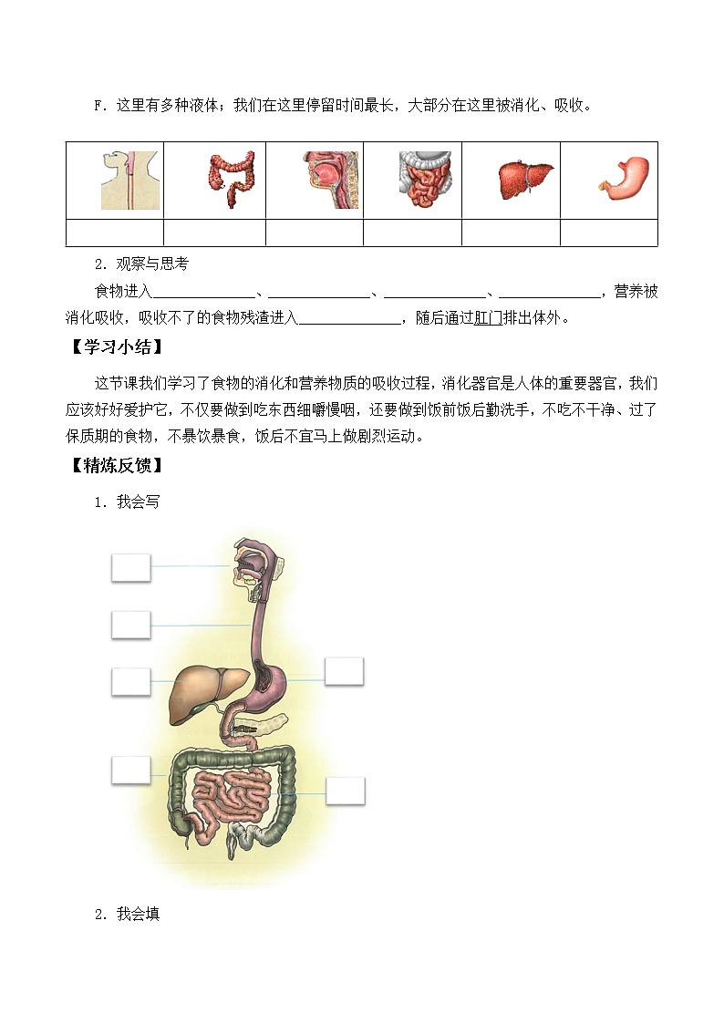1.3.《食物的消化》 学案02
