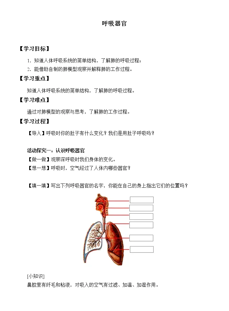 科学三年级上册13 呼吸器官学案设计 教习网 学案下载