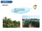 第11課 《保護土壤 》 課件