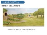 第11課 《保護土壤 》 課件