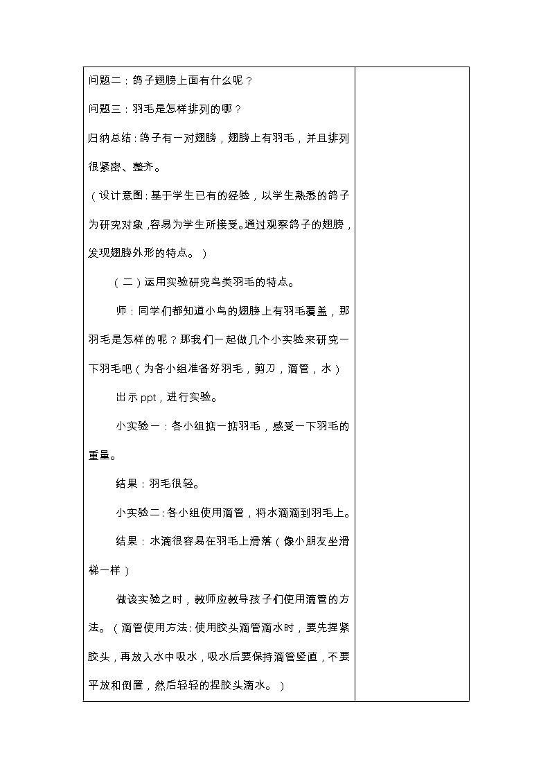 1.3 《动物的翅膀 》教案03