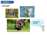 第3課 《動物的翅膀》 課件