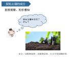 第9課 《土壤的成分》 課件