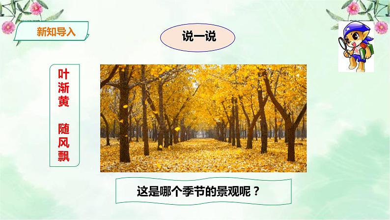 新粤教版一上科学：4.11《凉爽的秋天》课件03