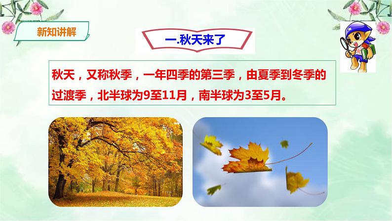 新粤教版一上科学：4.11《凉爽的秋天》课件04