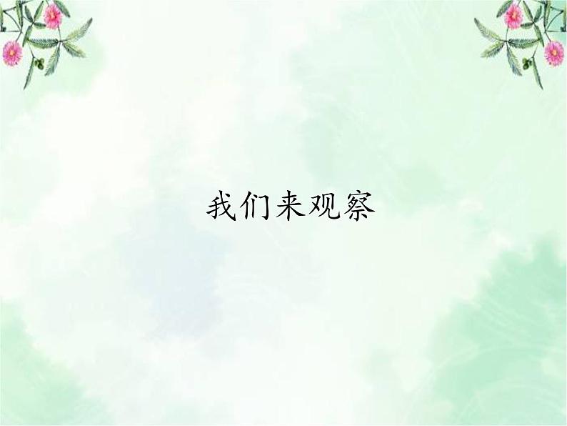 1.3《我们来观察》 课件01