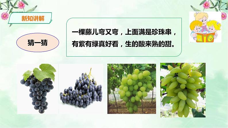 新粤教版一上科学：2.6《美味的水果》课件08