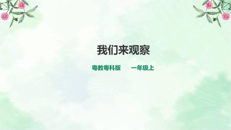 新粤教版一上科学：1.3《我们来观察》课件+素材01