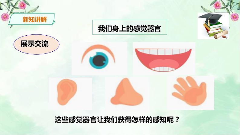 新粤教版一上科学：1.3《我们来观察》课件+素材05
