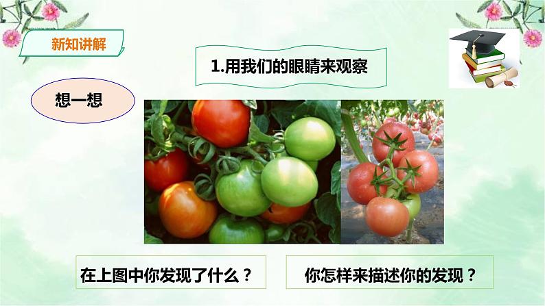 新粤教版一上科学：1.3《我们来观察》课件+素材06