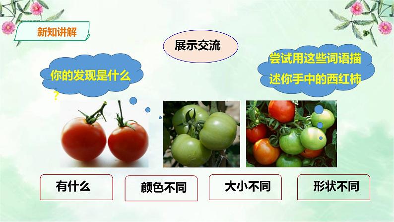 新粤教版一上科学：1.3《我们来观察》课件+素材07