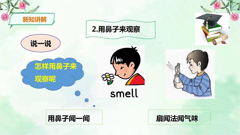 新粤教版一上科学：1.3《我们来观察》课件+素材08
