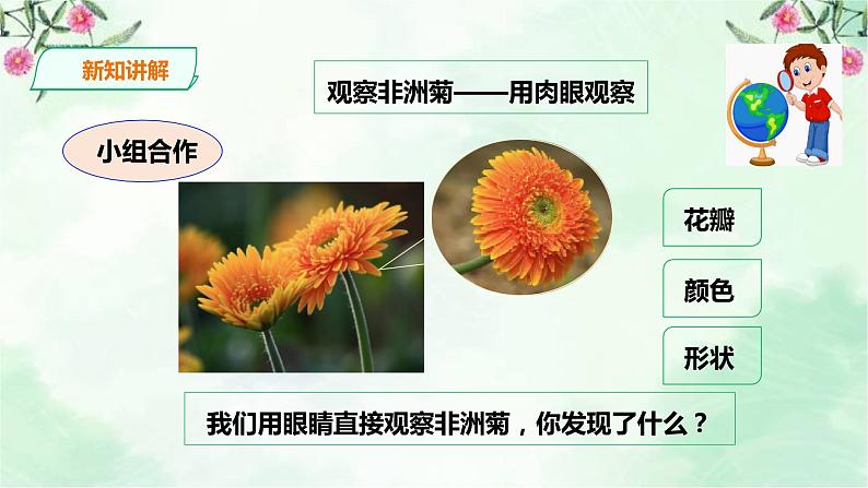 新粤教版一上科学：1.4《学会运用工具》课件05