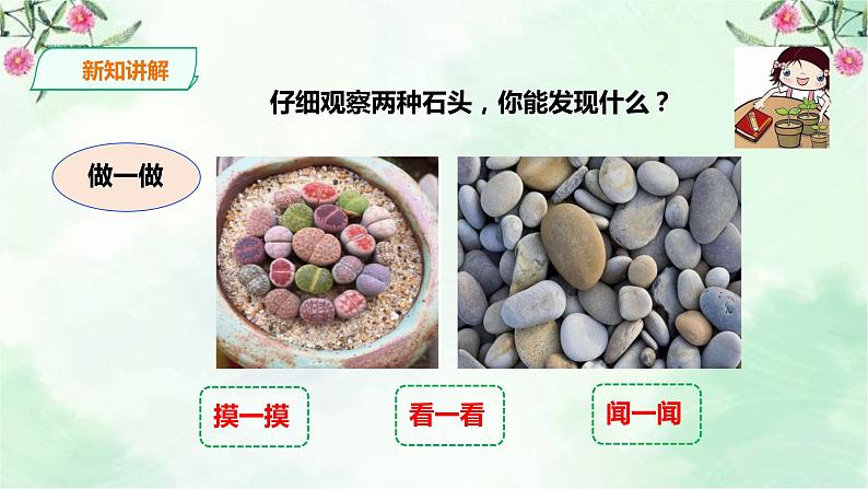 新粤教版一上科学：1.2《我有好奇心》课件04