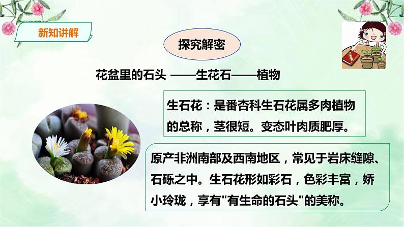 新粤教版一上科学：1.2《我有好奇心》课件06