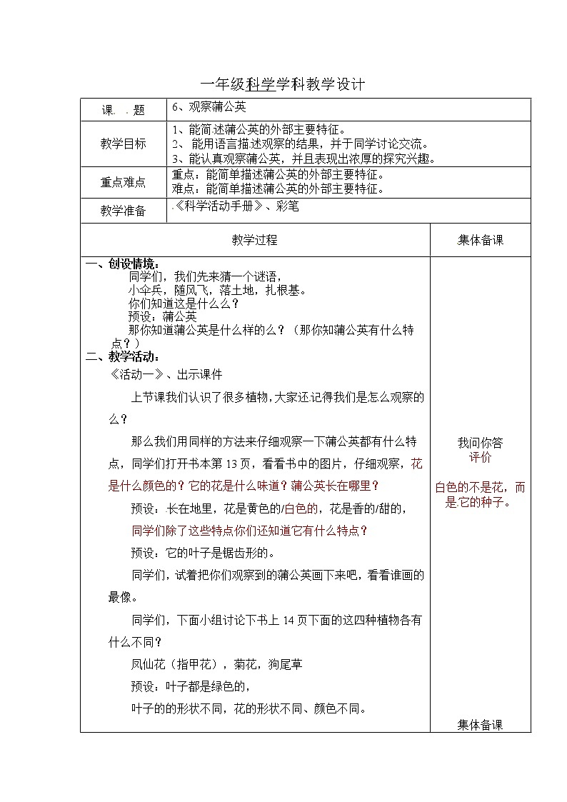 2.6《观察蒲公英》教案01