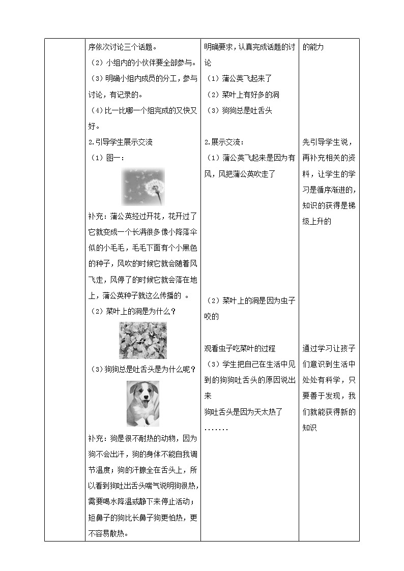 3.7《做个小侦探》教案02