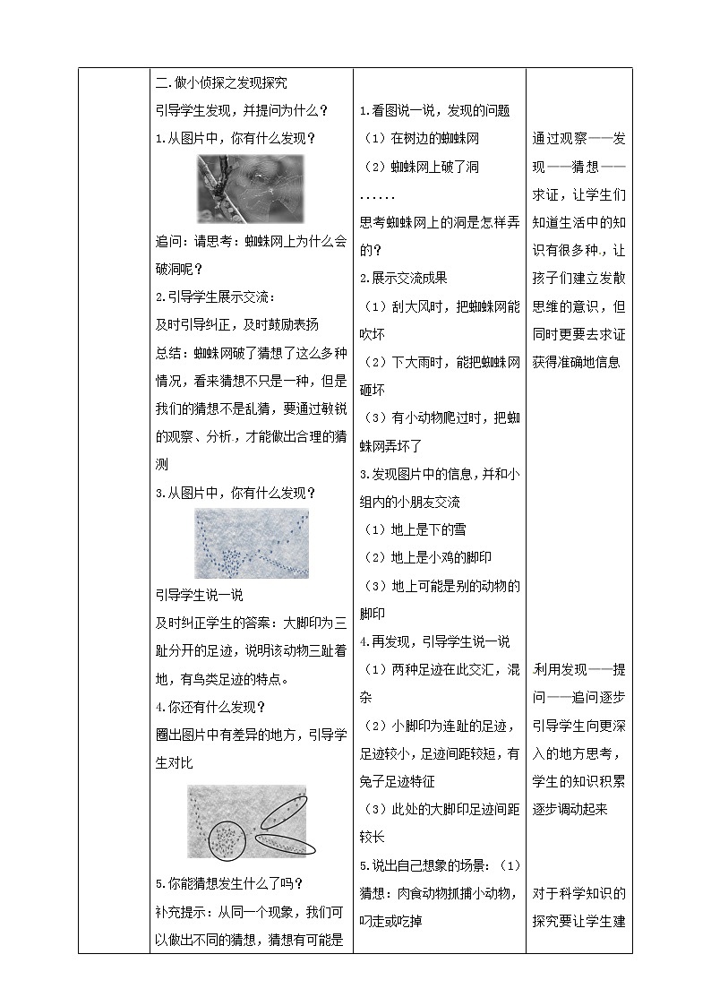 3.7《做个小侦探》教案03