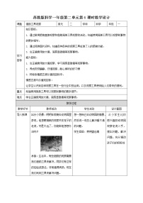 苏教版 (2017)一年级上册6.借助工具观察获奖教案