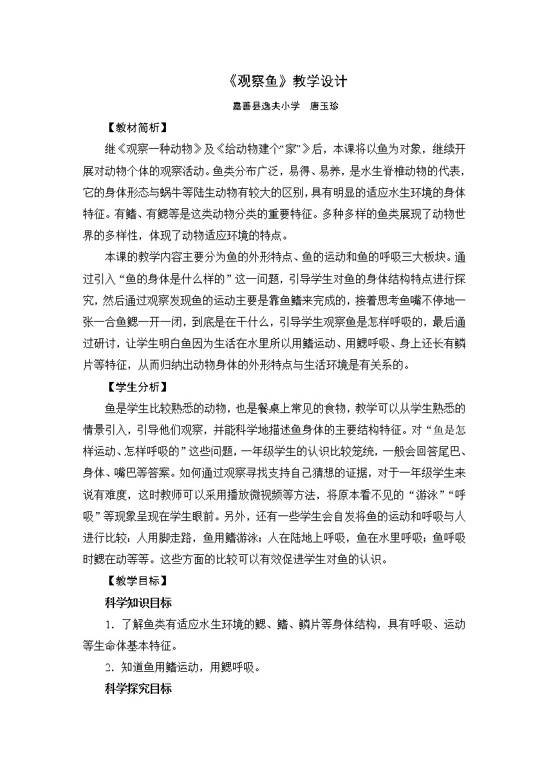 《观察鱼》教学设计01