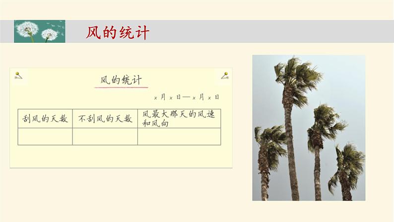 《整理我们的天气日历》教学课件第7页