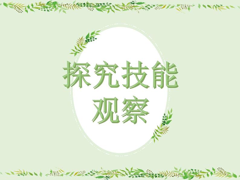 《探究技能 观察》PPT课件01