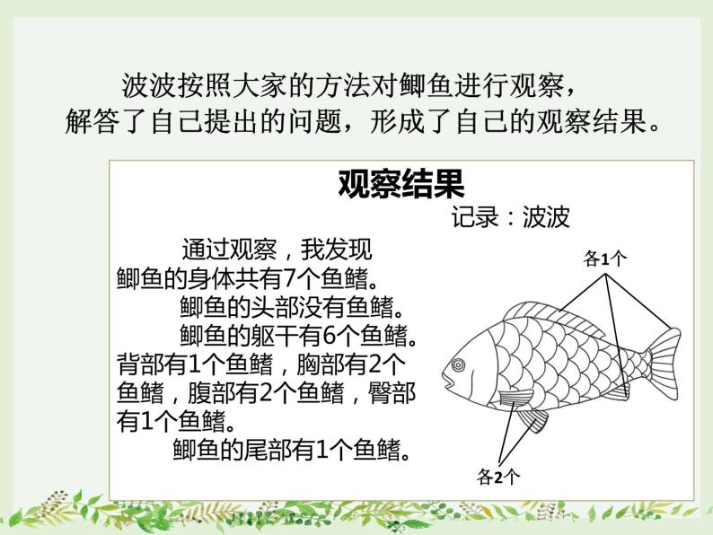 《探究技能 观察》PPT课件05