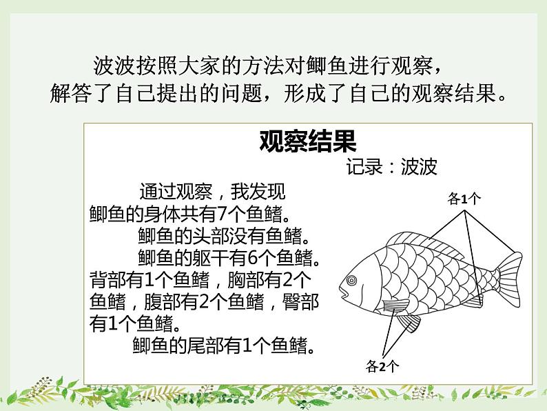 《探究技能 观察》PPT课件05