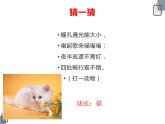 3.《壁虎与小猫》ppt课件