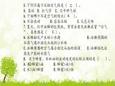 粤教版科学三年级上册：第三单元复习PPT课件