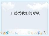 2.1《感受我们的呼吸》课件