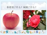 2.1《感受我们的呼吸》课件