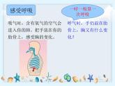 2.1《感受我们的呼吸》课件