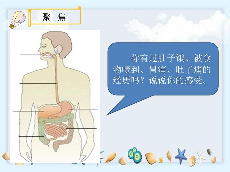 2.8《食物在身体里的旅行》》课件02