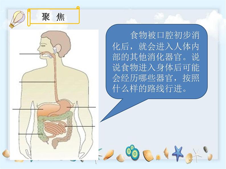 2.8《食物在身体里的旅行》》课件03