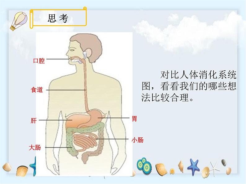 2.8《食物在身体里的旅行》》课件05