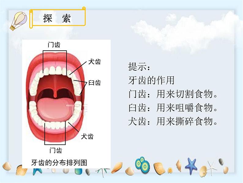 2.7《食物在口腔里的变化》课件06