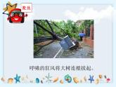 3.6《运动的小车》课件