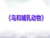 1.1鸟和哺乳动物课件+素材