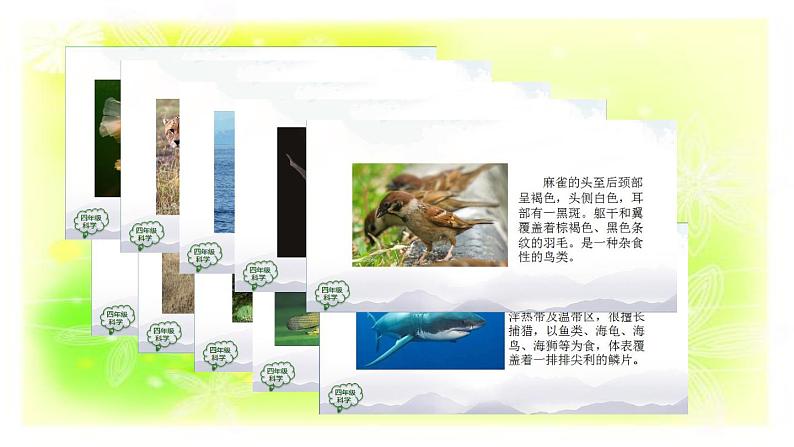 1.2动物的分类课件+素材08