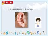1.4《我们是怎样听到声音的》课件