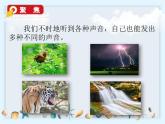 1.2《声音是怎样产生的》课件