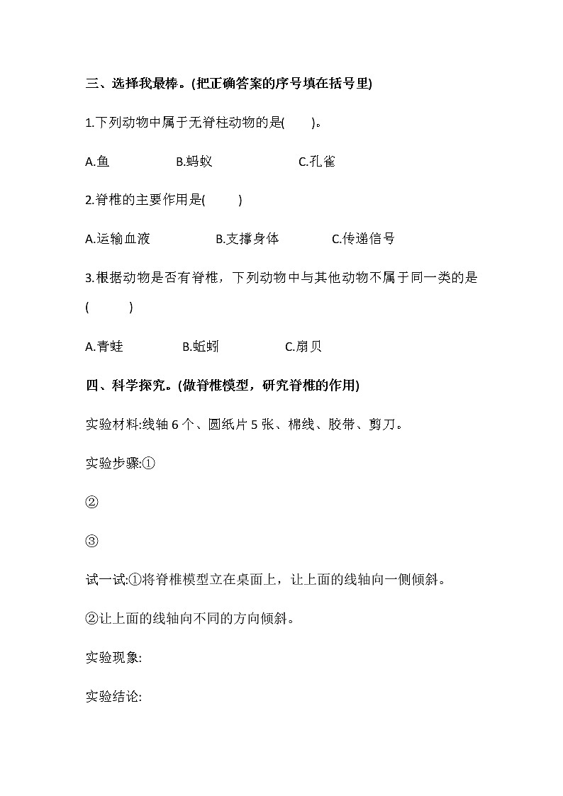 1.2《动物的分类》同步练习第2页