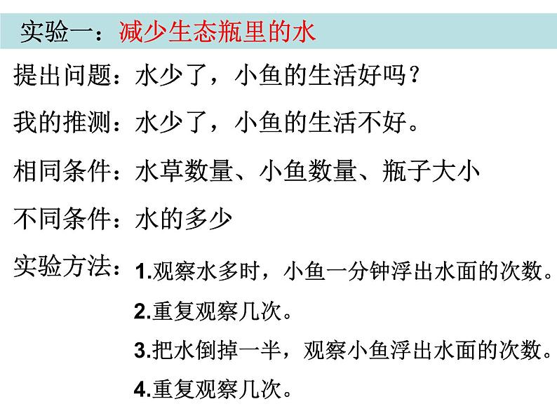 五上一7改变生态瓶陈建秋 课件04