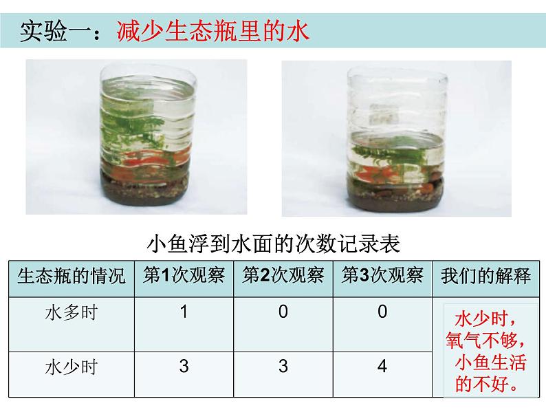 五上一7改变生态瓶陈建秋 课件05