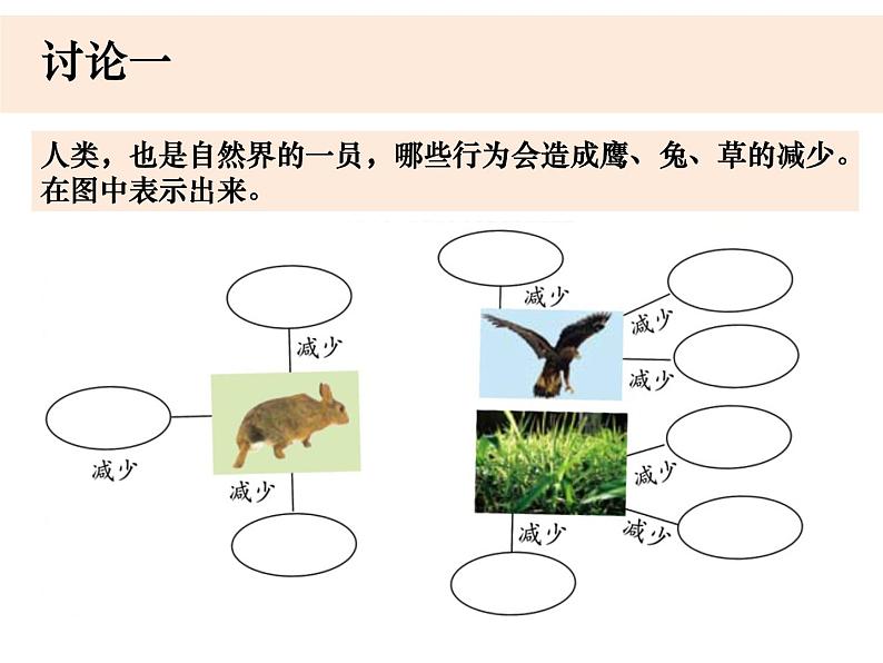 五上1-8《维护生态平衡》金巧玲 课件06