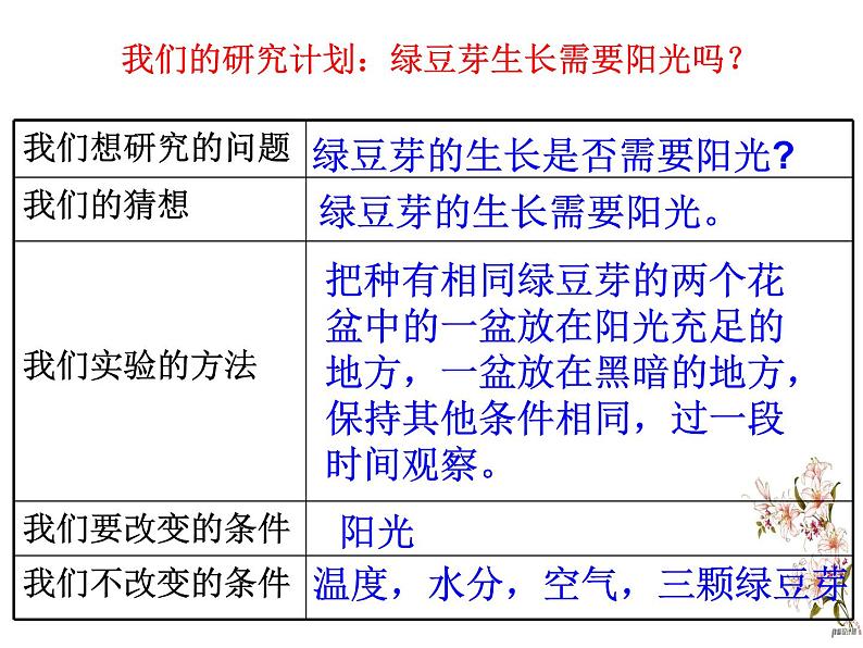 五上1-3《观察绿豆芽的生长》陈启淼 课件06