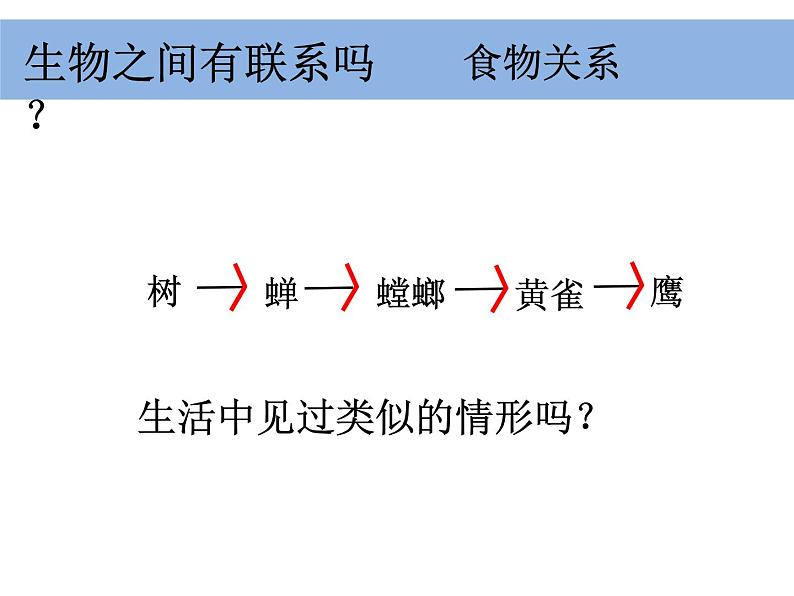 五上 1-5《食物链和食物网》凌珍珍(1) 课件02