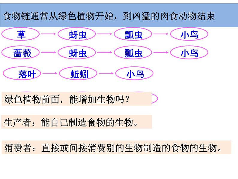 五上 1-5《食物链和食物网》凌珍珍(1) 课件05